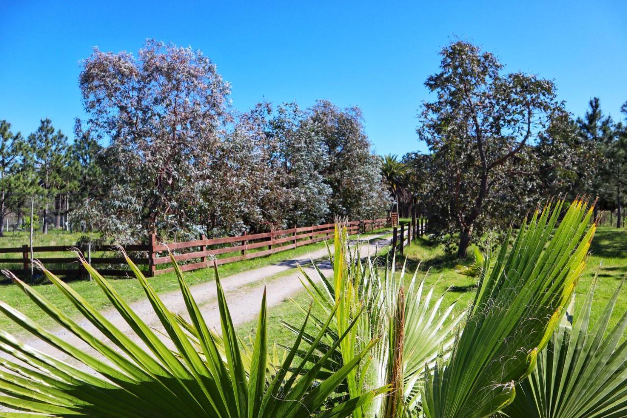 Casa De Campo Lo De Fatsia Κολονία ντε Σακραμεντο Εξωτερικό φωτογραφία